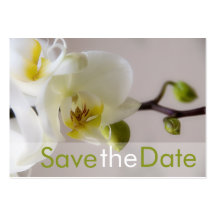 Orchidée blanche • Sauvez la mini carte de date Modèle De Carte De Visite