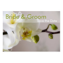 Orchidée blanche • Sauvez la mini carte de date Cartes De Visite Personnelles