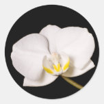 Orchidée blanche sur le noir autocollant rond