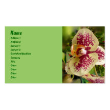 Orchidée Carte De Visite