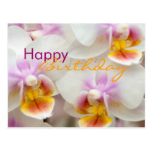 Orchidée • Carte postale d'anniversaire