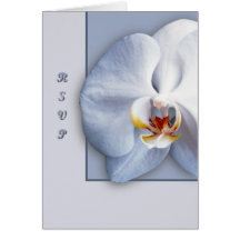 Orchidée Cartes De Vœux