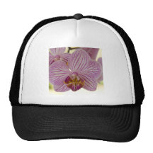 Orchidée Casquettes De Camionneur