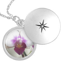 Orchidée Colliers