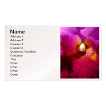 Orchidée de Cattleya Modèles De Cartes De Visite
