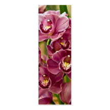 Orchidée de Cymbidium Cartes De Visite Professionnelles