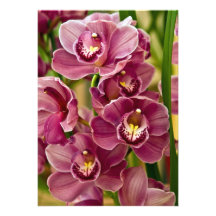 Orchidée de Cymbidium Faire-part Personnalisables
