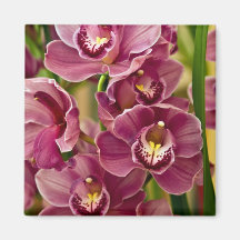Orchidée de Cymbidium Magnets Pour Réfrigérateur