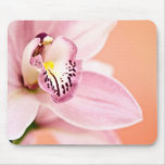 Orchidée de Cymbidium Tapis De Souris
