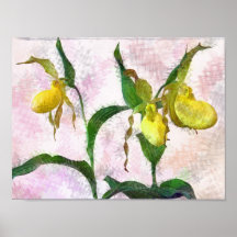 Orchidée de pantoufle de Madame - copie Affiches