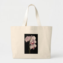 Orchidée de Phalaenopsis Sacs