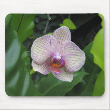 orchidée de puple tapis de souris