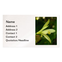 Orchidée de vanille modèles de cartes de visite