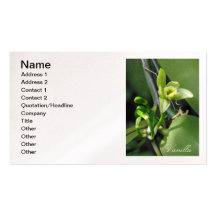 Orchidée de vanille modèles de cartes de visite