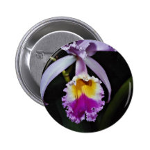 Orchidée, fleurs de trianae de cattleya (Colombie) Badge Avec Épingle