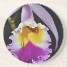 Orchidée, fleurs de trianae de cattleya (Colombie) Dessous De Verres