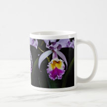 Orchidée, fleurs de trianae de cattleya (Colombie) Tasse À Café
