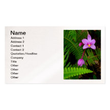 Orchidée hawaïenne sauvage modèles de cartes de visite
