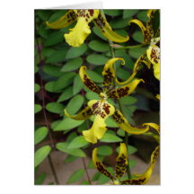 Orchidée jaune carte de vœux