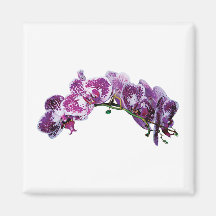 Orchidée magenta Deux-Modifiée la tonalité Magnets Pour Réfrigérateur