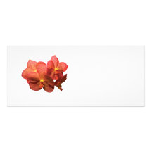 Orchidée orange repérée doubles cartes