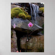 Orchidée Posters