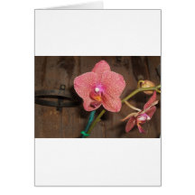 orchidée repérée cartes de vœux