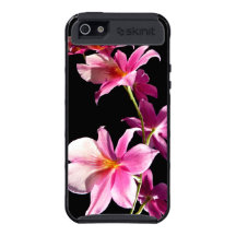 Orchidée rose