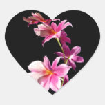 Orchidée rose autocollants