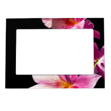 Orchidée rose cadres magnétiques pour photo