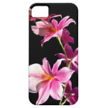 Orchidée rose coques Case-Mate iPhone 5