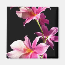 Orchidée rose magnets pour réfrigérateur