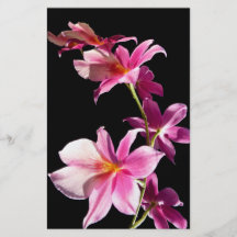 Orchidée rose prospectus personnalisés