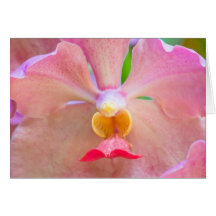 Orchidée rose rare carte