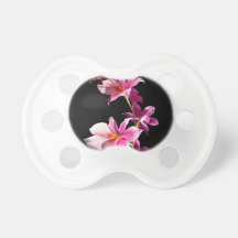 Orchidée rose sucette pour bébé