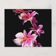 Orchidée rose tract customisé