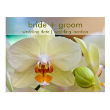 Orchidée • Sauvez la carte de date Carte Postale