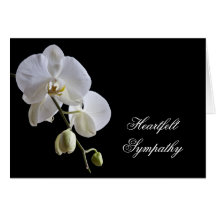 Orchidée sur la carte de sympathie noire