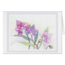 Orchidées Carte