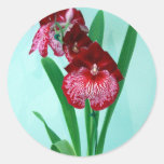 Orchidées de dames de danse autocollants ronds