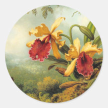 Orchidées jaunes adhésifs