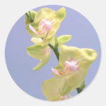Orchidées jaunes et roses sur la lavande adhésif