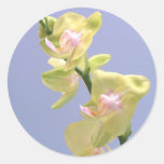 Orchidées jaunes et roses sur la lavande adhésifs ronds