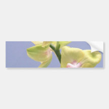 Orchidées jaunes et roses sur la lavande autocollants pour voiture