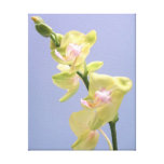 Orchidées jaunes et roses sur la toile enveloppée  toiles tendues sur châssis