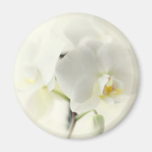 Orchidées Magnets Pour Réfrigérateur
