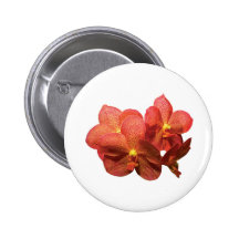 Orchidées oranges repérées badges