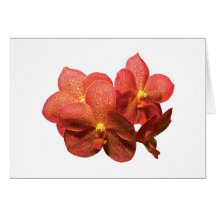 Orchidées oranges repérées cartes de vœux
