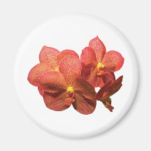 Orchidées oranges repérées magnets pour réfrigérateur