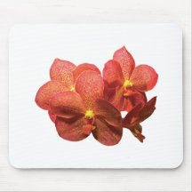 Orchidées oranges repérées tapis de souris